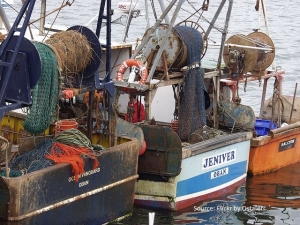 Read more about the article Blomeyer & Sanz is conducting the independent external evaluation of the European Fisheries Control Agency