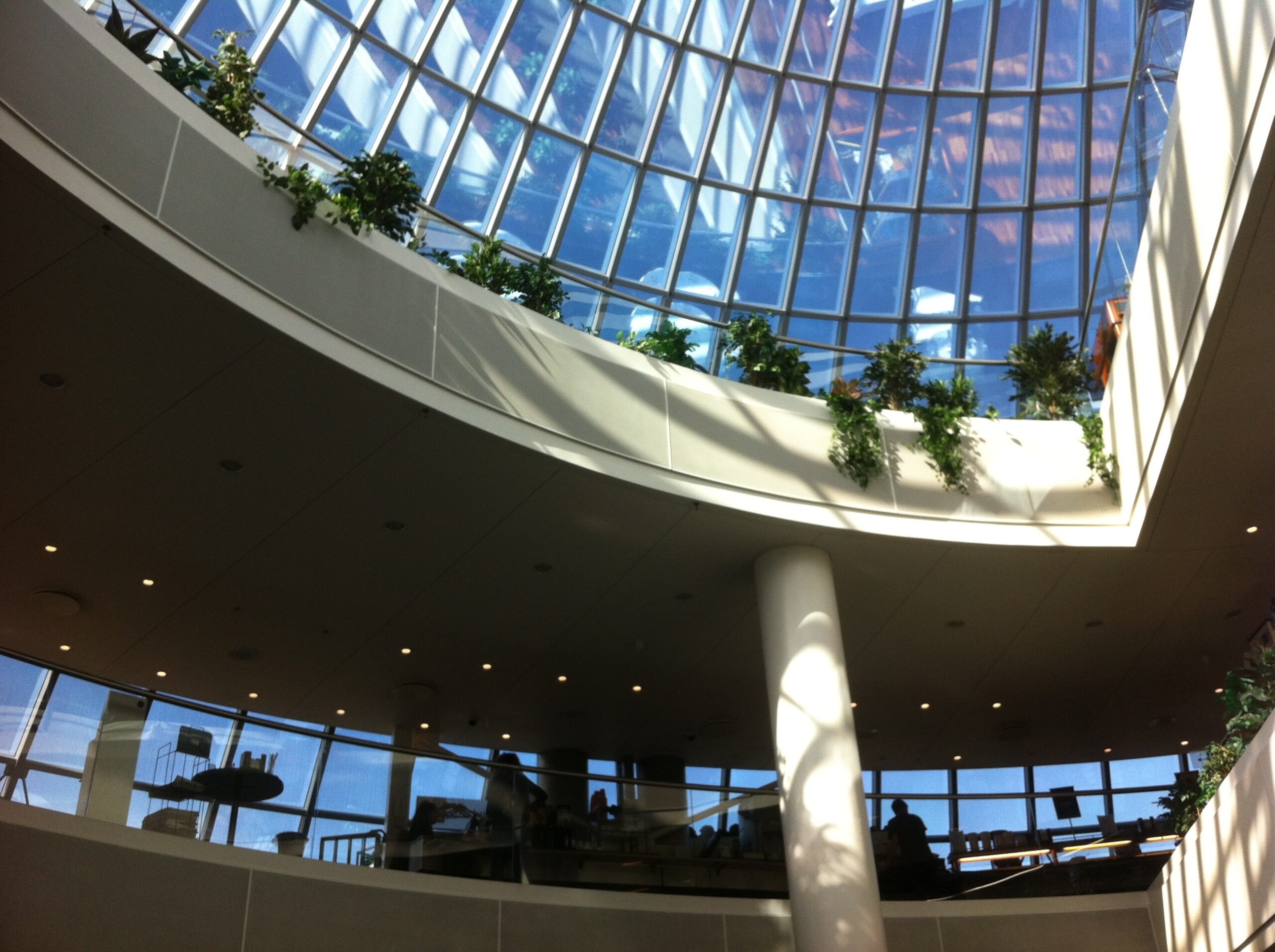 You are currently viewing Blomeyer & Sanz Participates in the 3rd European Evaluation Society Learning Hub on Regenerative Futures